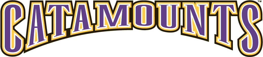 Western Carolina Catamounts 1996-2007 Wordmark Logo v3 diy iron on heat transfer